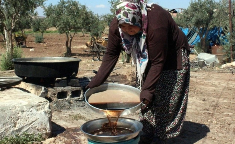 Kilis’te gün pekmezi üretimi başladı