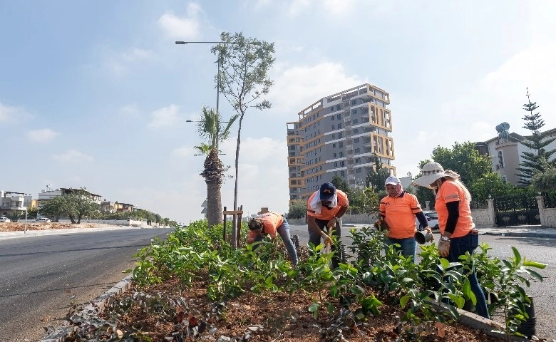 Mersin'de mevsimlik çiçek dikimi öncesi hazırlık