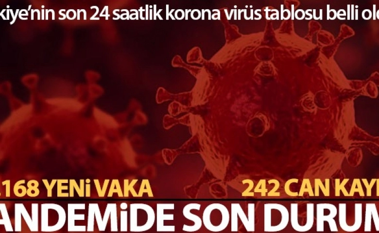 Korona virüsten 242 kişi hayatını kaybetti, 28 bin 168 yeni vaka