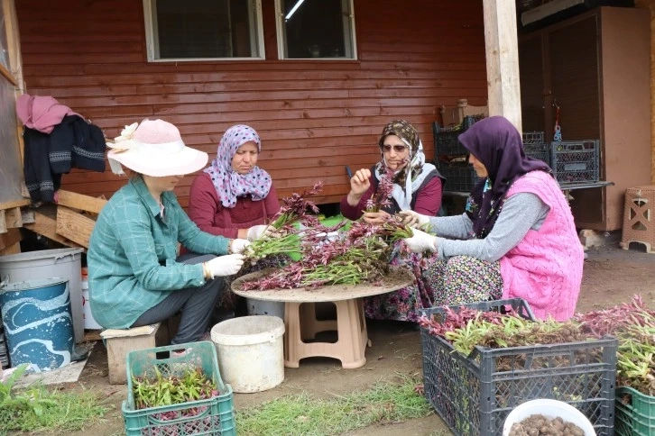 Altınla yarışan ürün kilosu  2 bin TL