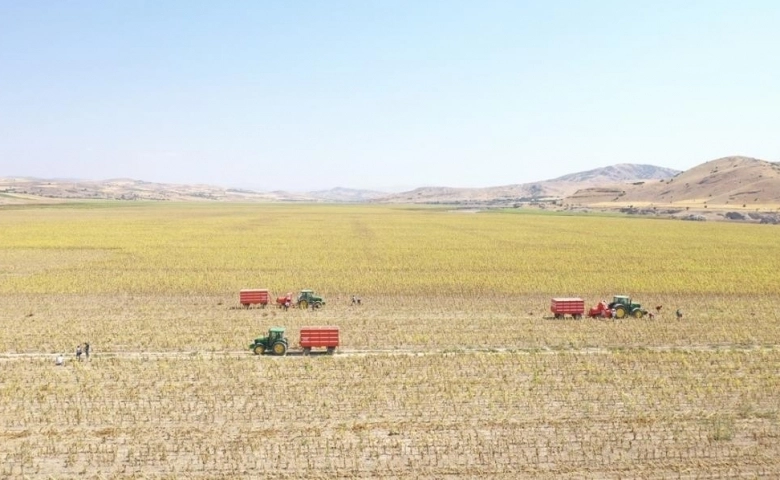 Tunceli'de ürün hasadı çiftçilerin yüzünü güldürdü