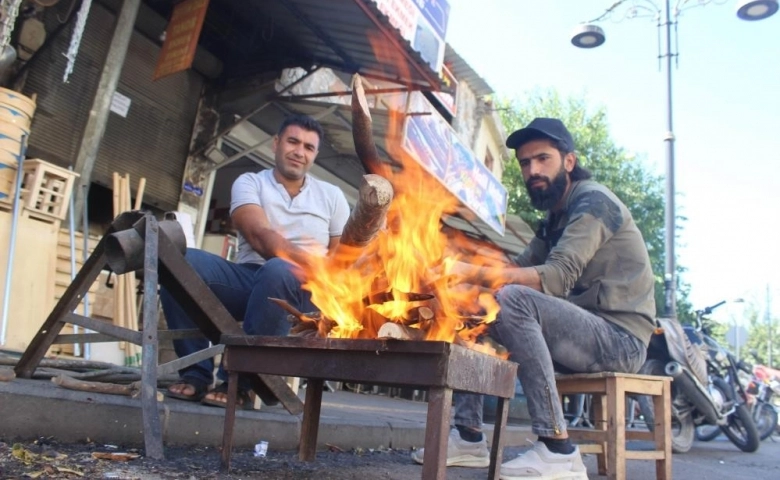 Kilis'te Zeytin hasadında geleneksel yöntem ’sırık’