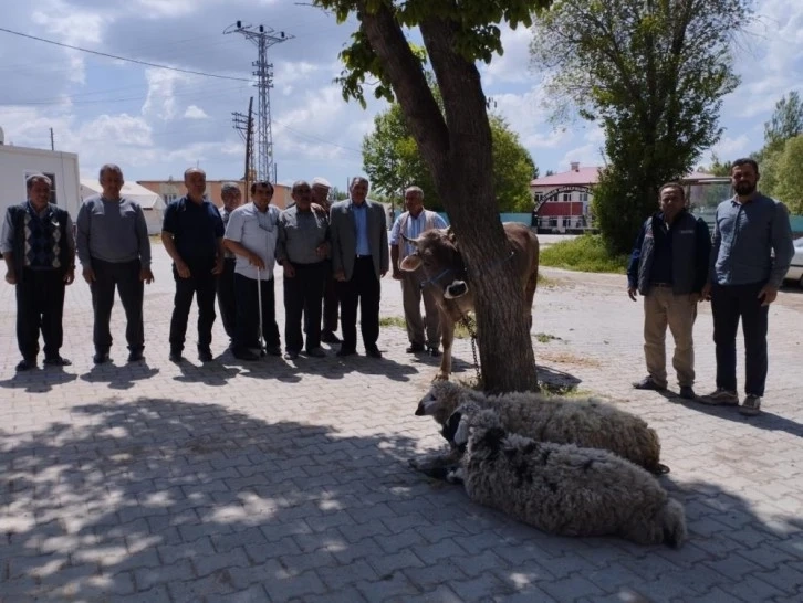 Afetlerin son bulması ve bereket için kurban kestiler