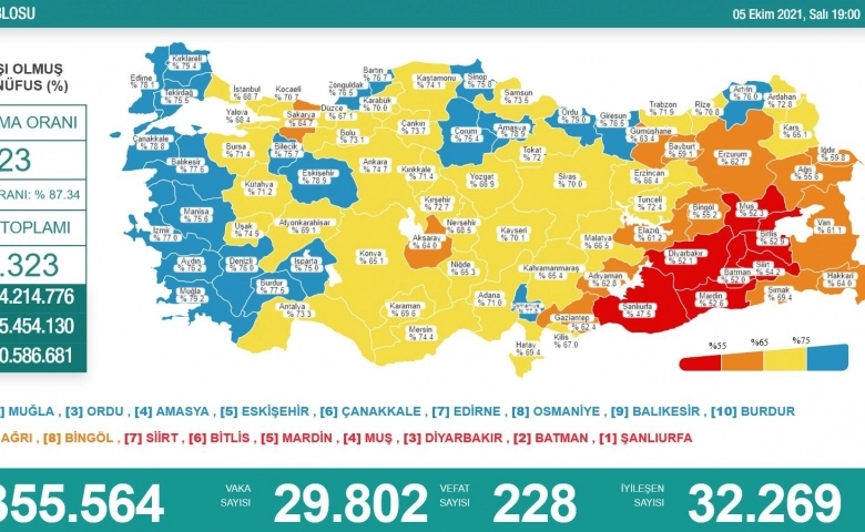 Türkiye’de son 24 saatte korona virüsten 228 kişi hayatını kaybetti