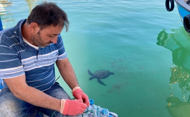 Carettalarla dost olan Mersinli balıkçılar, onları elleriyle besliyorlar