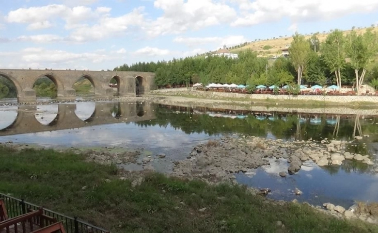 Dicle Nehri'nde balık ölümleri vatandaşları tedirgin etti