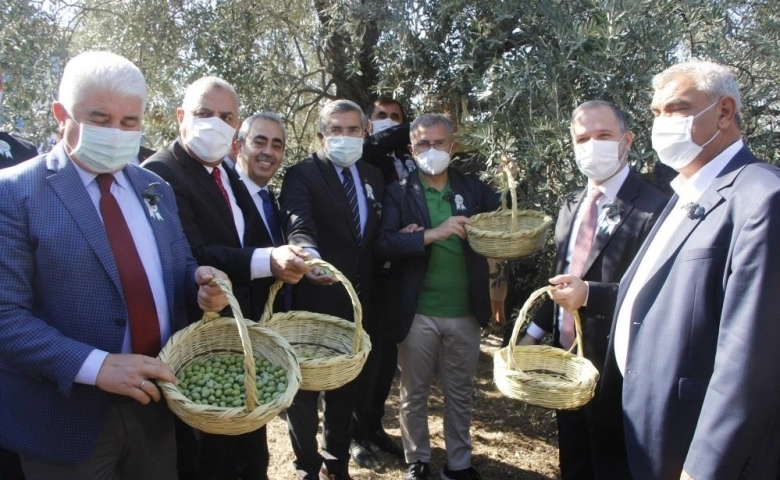 Hatay'da "Zeytin ve Zeytinyağı Festivali" coşkusu