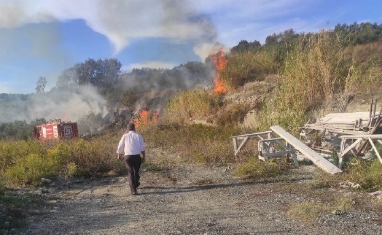 Hatay'da sazlık yangını