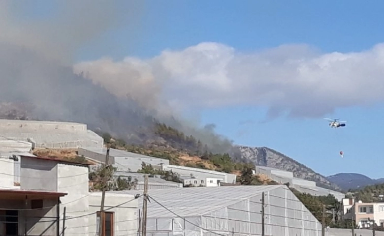 Mersin'de orman yangını