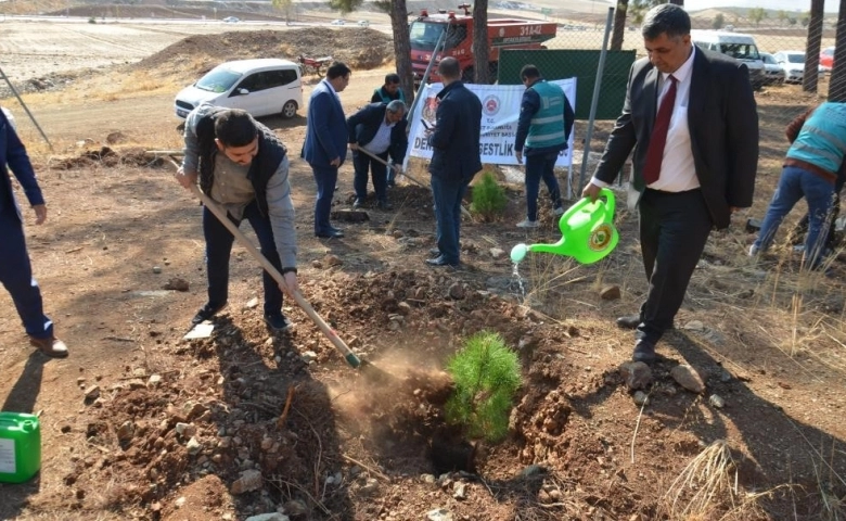 Hatay’ın Kırıkhan ilçesinde 600 fıstık çamı fidanı toprakla buluştu