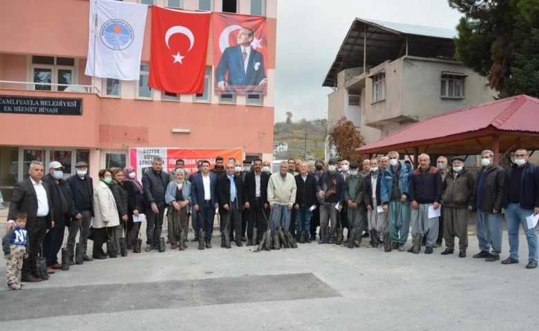 Mersin'de "Ceviz Fidanı Dağıtımı Projesi" tamamlandı