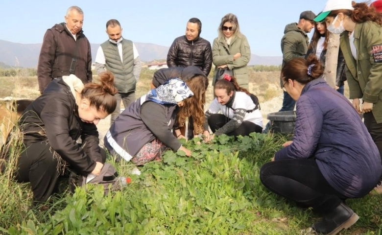 Hatay'da Alternatif tarım ürünleri expo ile tanıtılıyor