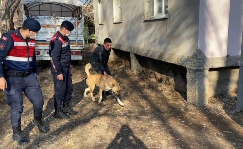 Kahramanmaraş'ta Köpek dövüştürenler jandarmaya yakalandı