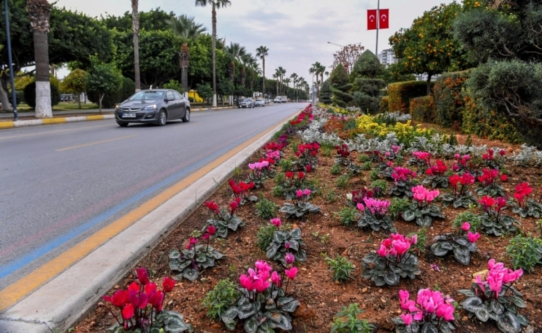 Kadınlar, Mersin’i  çiçeklerle rengârenk yaparak güzelleştiriyor