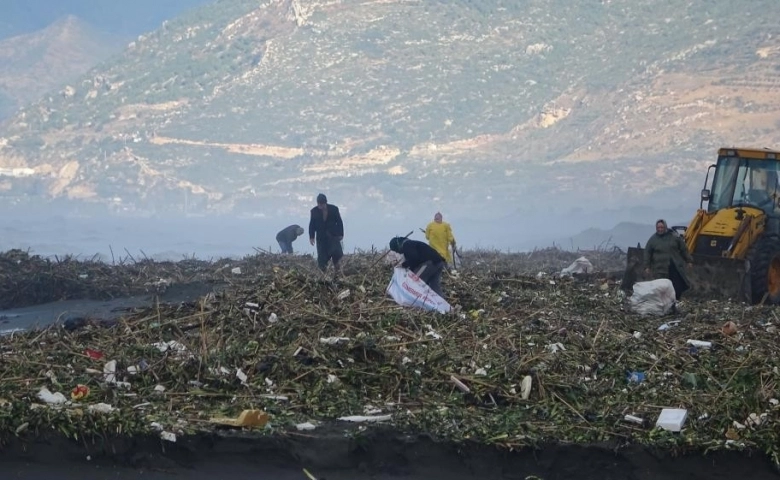 Sahile vuran odunlar kışlık yakacakları oldu