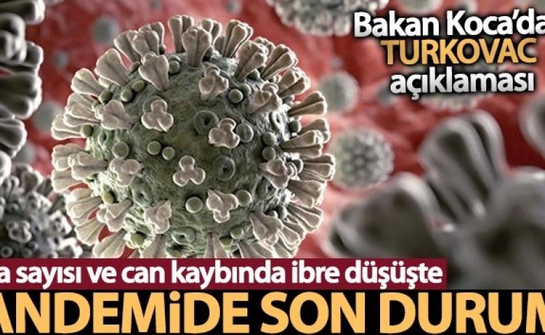 Son 24 saatte korona virüsten 168 kişi hayatını kaybetti