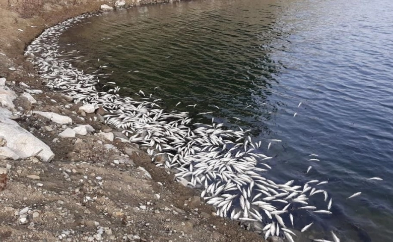 Aslantaş Barajı'nda korkutan tablo