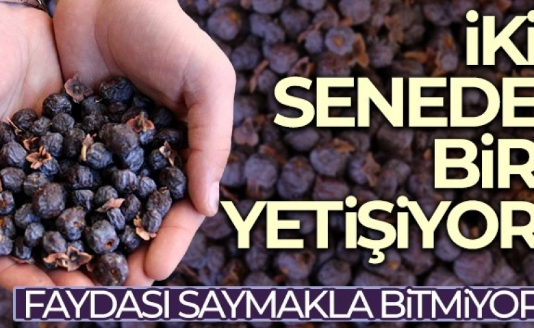 Vitamin deposu gibi faydası saymakla bitmiyor