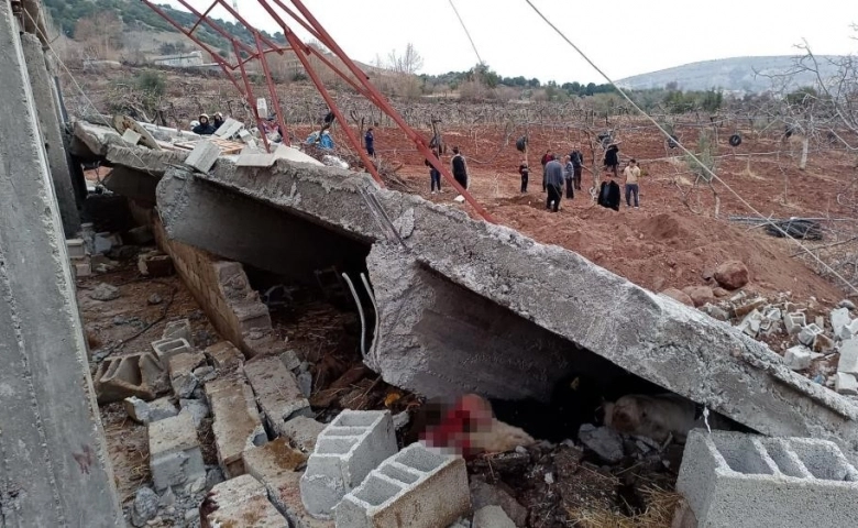 Gaziantep'te Yağış sonrası ahır çöktü: 5 büyükbaş hayvan telef oldu