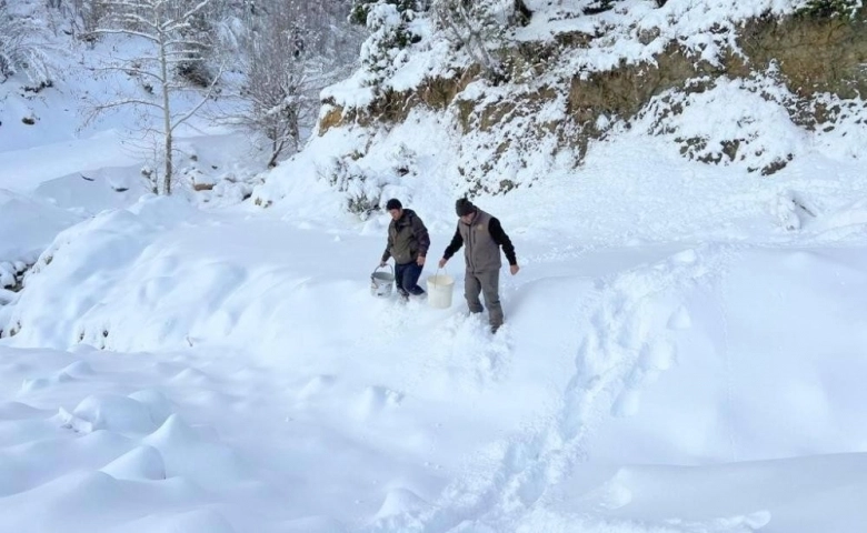 Osmaniye'de Karlı yollar yaban hayvanları için aşıldı