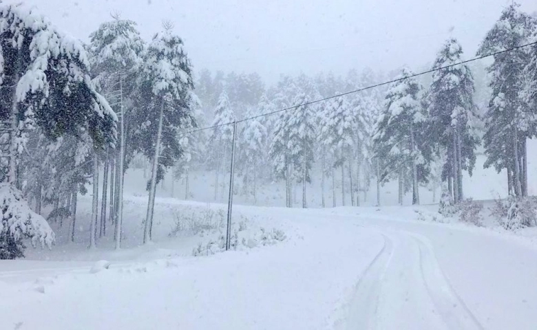 Osmaniye'de Meteoroloji sarı kodla uyardı