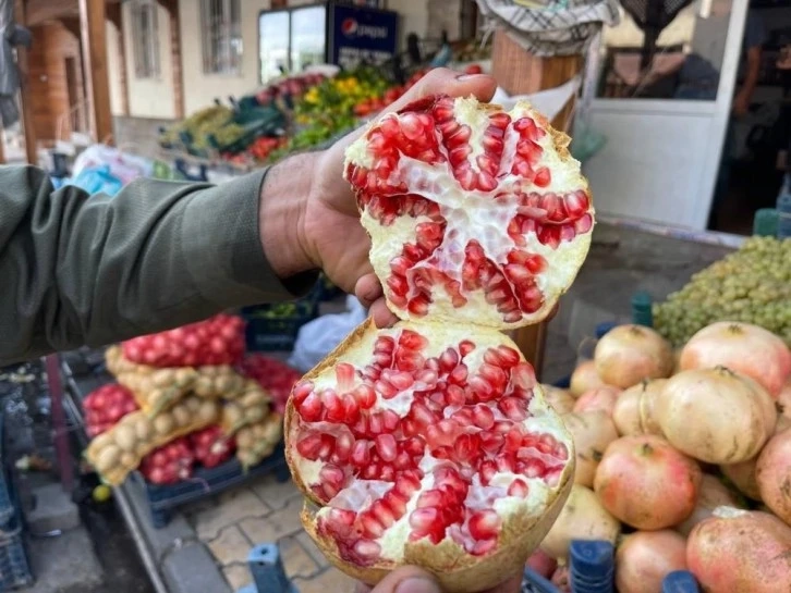 Avrupa Birliği'nden Suruç Narına tescilli coğrafi işaret belgesi