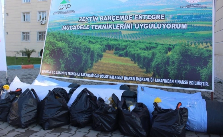 Kilis'te Zeytin üreticisine devlet desteği sürüyor