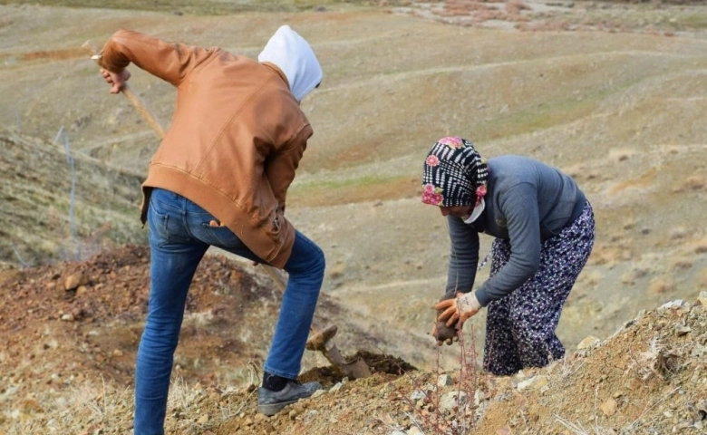 Kilis’te 16 hektara badem dikildi