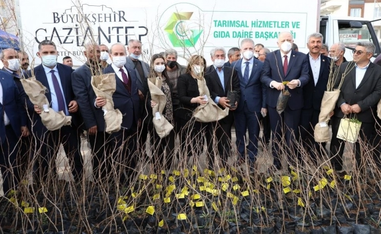 Oğuzeli'nde çiftçiye 15 bin nar ve 10 bin Antep fıstığı fidanı dağıtıldı