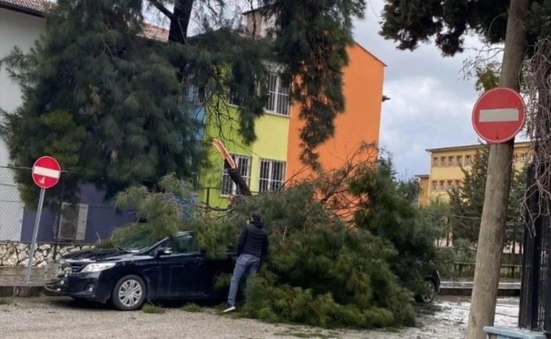 Hatay’da fırtına ağaçları devirdi