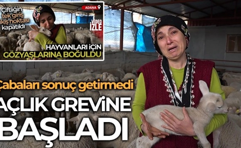 Besici kadın açlık grevine başladı