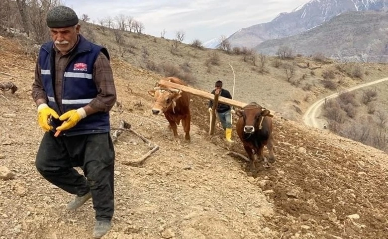 Bu köyde hala "kara saban" kullanılıyor