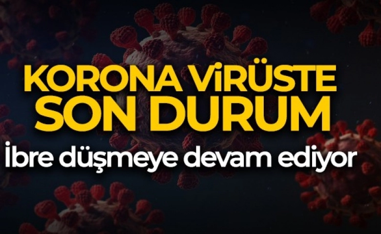 Türkiye’de Korona virüsten 25 kişi hayatını kaybetti