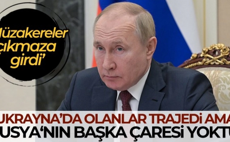 Vladimir Putin; Rusya'nın başka çaresi yoktu