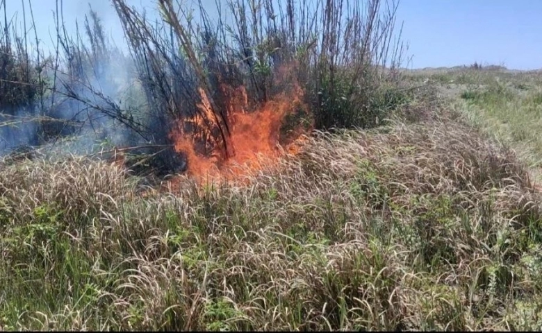 Hatay'da sazlık alanda yangın