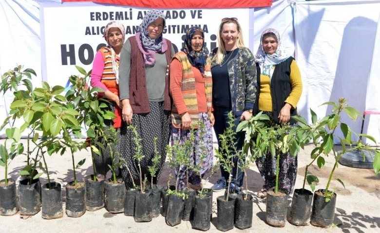 Mersin Büyükşehir Belediyesinden üreticilere avokado ve alıç fidanı