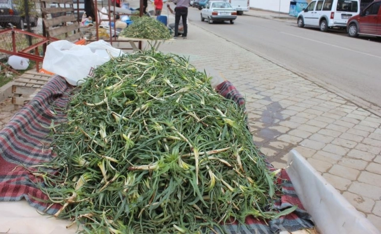 Yemlik Pazarlarda yerini aldı kilosu 30 TL