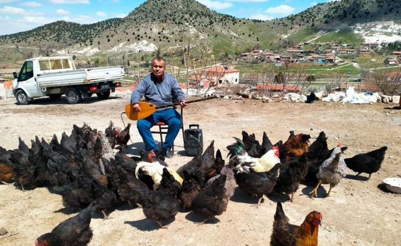 Tavuklarına her gün konser veriyor