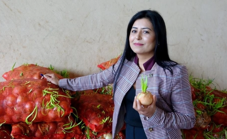 Osmaniye'de Çimlenmiş soğan, patates ve sarımsak seferberliği