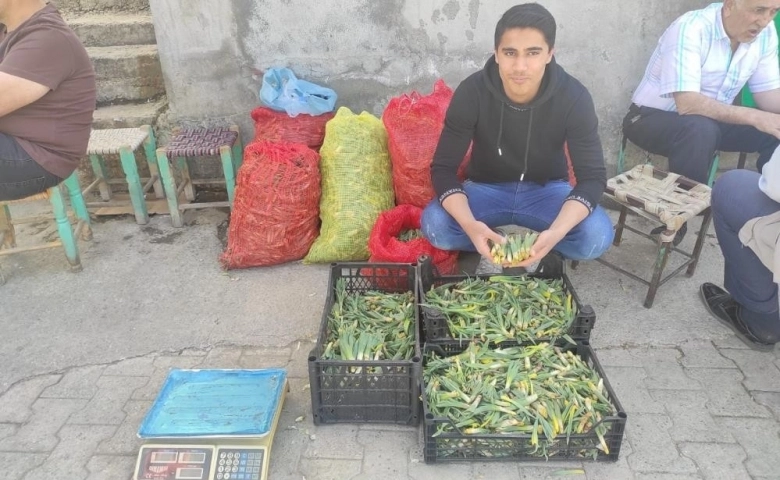 Yüksek dağlarda yetişen pancar, köylülerin geçim kaynağı oldu