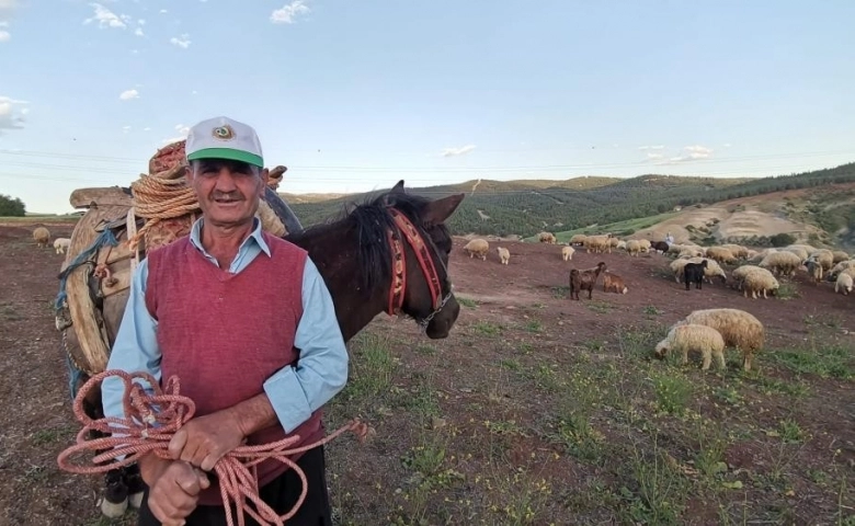 Kahramanmaraş’ta göçerlerin yayla mesaisi başladı