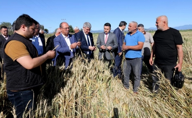 Osmaniye'de dolu yağışında 40 bin dekar tarım arazisi zarar gördü