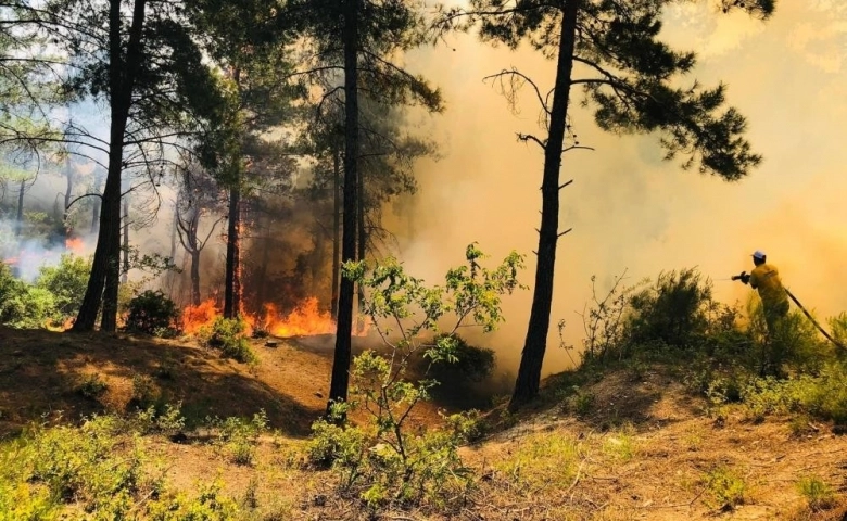 Son Dakika Hatay’da orman yangını