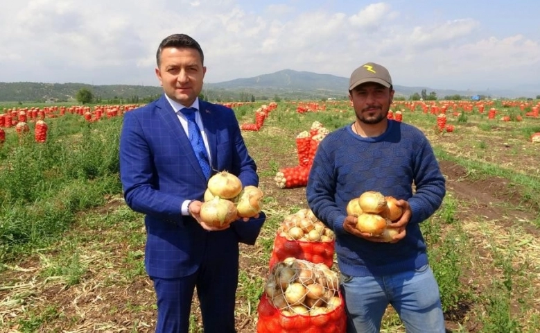 Osmaniye'de Soğan, çiftçinin yüzünü güldürdü