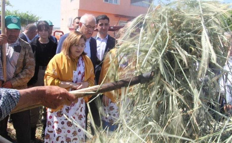 Araban'da firik ütme başladı