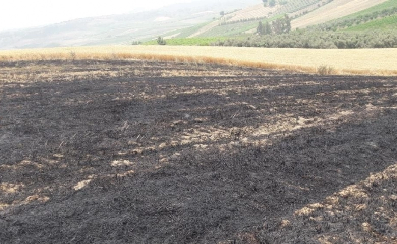 Tarsus'ta 12 dönüm ekli buğday tarlası yandı