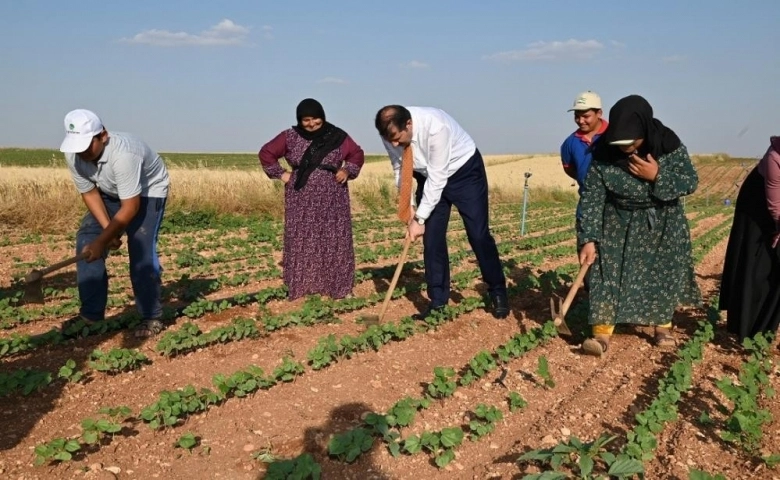 Vali Ayhan, tarlada çalışan tarım işçilerle birlikte çapa yaptı