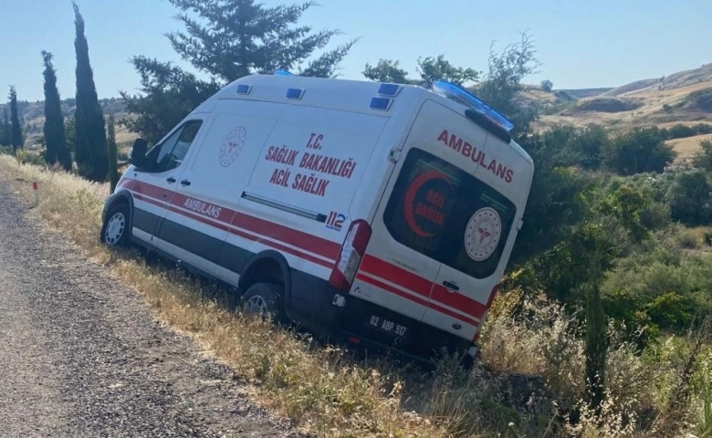 Ambulans Domuza çarpmamak isterken şarampole çıktı