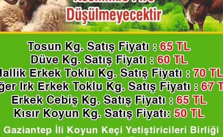 Gaziantep’te kurbanlık fiyatları belli oldu