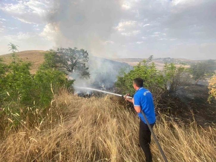 Siirt’te buğday tarlası küle döndü